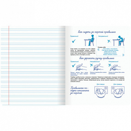 Тетрадь УЧУСЬ ПИСАТЬ №5 12л. узкая линия, со справочным материалом, обложка картон, ЮНЛАНДИЯ, 404850