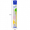 Линейка пластиковая 20 см BRAUBERG "FRESH ZONE", прозрачная, с желтой шкалой, 210749
