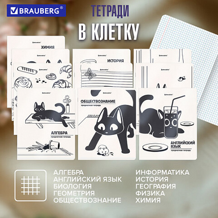 Тетради предметные, КОМПЛЕКТ 12 ПРЕДМЕТОВ 48 л., пластиковая обложка, BRAUBERG "КОТ-НЕПОСЕДА", 405542