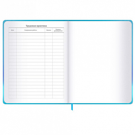 Дневник 1-11 класс 48 л., твердый, BRAUBERG, матовая ламинация, резинка, закладка-ляссе, с подсказом, "Котик", 107239