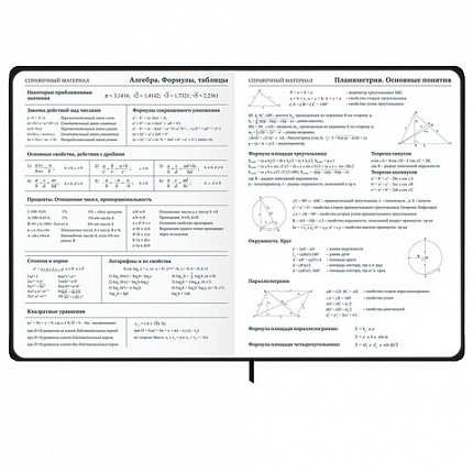 Дневник 1-11 класс 48 л., твердый, BRAUBERG, матовая ламинация, резинка, закладка-ляссе, с подсказом, "Дракон", 107240