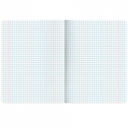 Тетрадь А5, 48 л. BRAUBERG, скоба, клетка, глянцевый лак, "Anime" (микс в спайке), 404348