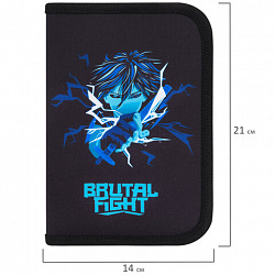 Пенал BRAUBERG с наполнением, 1 отделение, 1 откидная планка, 24 предмета, 21х14 см, "Anime fight", 272354