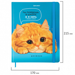 Дневник 1-11 класс 48 л., твердый, BRAUBERG, матовая ламинация, резинка, закладка-ляссе, с подсказом, "Котик", 107239