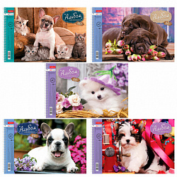 Альбом для рисования, А4, 40 листов, спираль, обложка картон, HATBER, 205х300 мм, "Любимцы" (5 видов), 004142, 40А4Всп