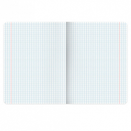 Тетрадь предметная КОТ-НЕПОСЕДА 48л, пластиковая обложка, ОБЗР, клетка, подсказ, BRAUBERG, 405539