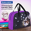 Сумка для занятий BRAUBERG с ручками, 35x25x15 см, "Dream cat", 271592