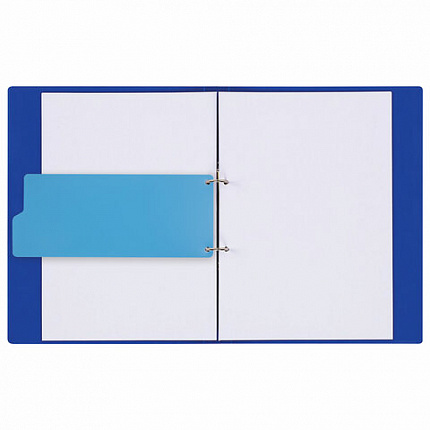 Разделитель пластиковый (полосы 100х240 мм), 12 листов, без индексации, по цветам, BRAUBERG, 225632