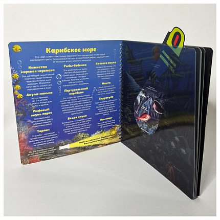 Книжка с фонариком "Познаю мир", 210х230 мм, 12 страниц, АССОРТИ, Бимбимон