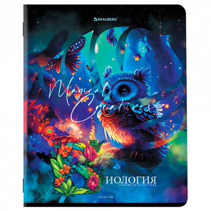 Тетради предметные, КОМПЛЕКТ 12 ПРЕДМЕТОВ, 48 л., глянцевый УФ-лак, BRAUBERG, "DREAM WORLD", 404842