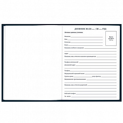 Дневник 1-11 класс 40 л., твердый, BRAUBERG, матовая ламинация, "Dragon", 107178