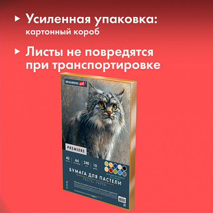 Бумага для пастели АБРАЗИВНАЯ А4 в коробке, 40 листов 8 цветов, 240 г/м2, BRAUBERG AR, 117767