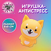 Игрушка-антистресс "ВЕСЁЛЫЙ ПЁСИК", 5х8 см, дисплей, JOLLY JOT (ДЖОЛЛИ ДЖОТ), 665802