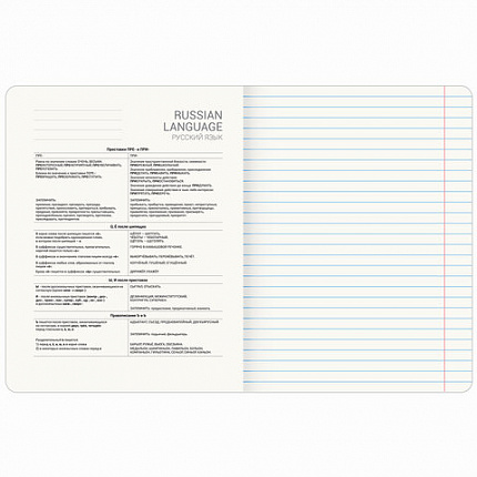 Тетрадь предметная ДАТЫ 48 л., TWIN лак, РУССКИЙ ЯЗЫК, линия, подсказ, BRAUBERG, 405131