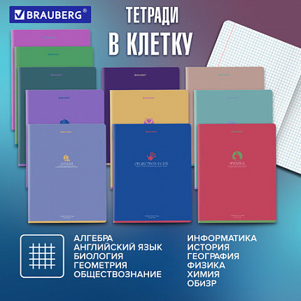 Тетради предметные, КОМПЛЕКТ 13 ПРЕДМЕТОВ, 48 л., матовая ламинация, BRAUBERG "MONOCOLOR", 405175