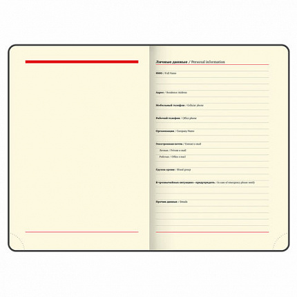 Ежедневник недатированный БОЛЬШОЙ ФОРМАТ 210х297мм А4, BRAUBERG Iguana, 160л, синий, 114451