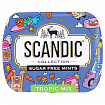 Драже освежающие SCANDIC без сахара со вкусом "Тропический микс", 14 г