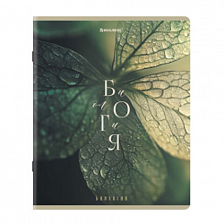 Тетради предметные, КОМПЛЕКТ 12 ПРЕДМЕТОВ 48 л., пластиковая обложка, BRAUBERG "PURE NATURE", 405543