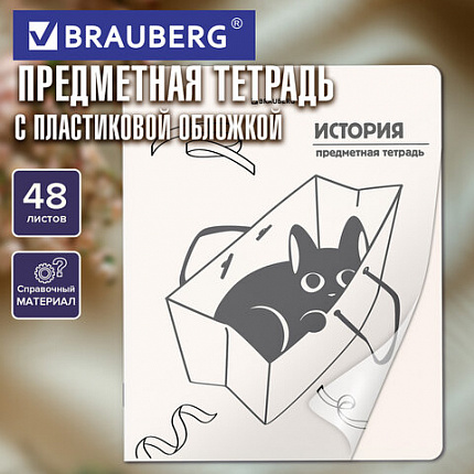 Тетрадь предметная КОТ-НЕПОСЕДА 48л, пластиковая обложка, ИСТОРИЯ, клетка, подсказ, BRAUBERG, 405534