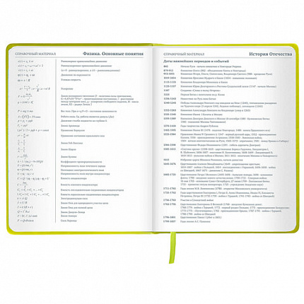 Дневник 1-11 класс 48 л., кожзам (твердая с поролоном), тиснение аппликация, BRAUBERG, "Super Avo", 106205