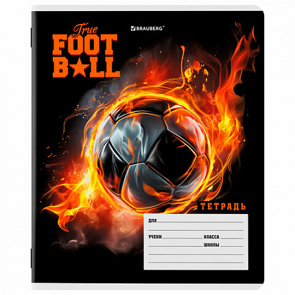 Тетрадь 12 л. BRAUBERG клетка, обложка картон, МИКС-3, 107270