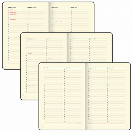 Ежедневник недатированный БОЛЬШОЙ ФОРМАТ 210х297мм А4, BRAUBERG Iguana, 160л, синий, 114451