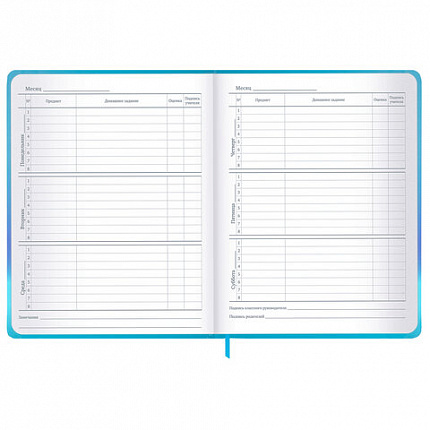 Дневник 1-11 класс 48 л., твердый, BRAUBERG, матовая ламинация, резинка, закладка-ляссе, с подсказом, "Котик", 107239