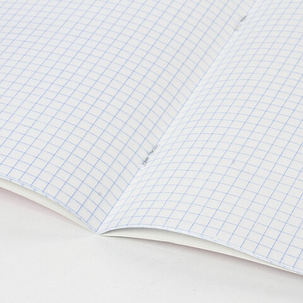 Тетрадь BRAUBERG "EXTRA" 12 л., клетка, плотная бумага 80 г/м2, обложка картон, 105706