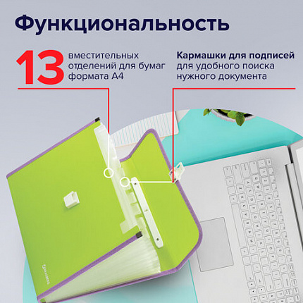 Папка-портфель пластиковая BRAUBERG "JOY", А4 (330х245х35 мм), 13 отделений, с окантовкой, салатовая, 227974
