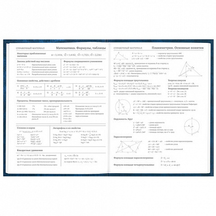 Дневник 5-11 класс 48 л., твердый, BRAUBERG, глянцевая ламинация, с подсказом, "Мотивация", 106630