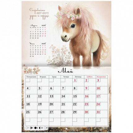 Календарь-планер настенный перекидной на 2026 г., BRAUBERG, 12 листов, 29,5х21,3 см, "Sweet pony", 116948
