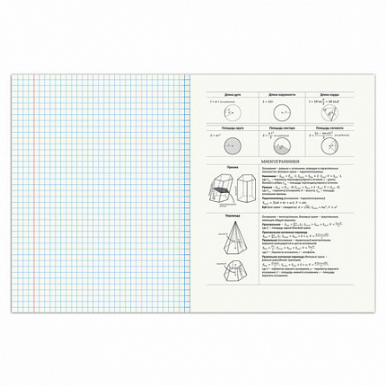 Тетрадь предметная SPORT CLUB 48л, обложка картон, ГЕОМЕТРИЯ, клетка, подсказ, BRAUBERG, 404799