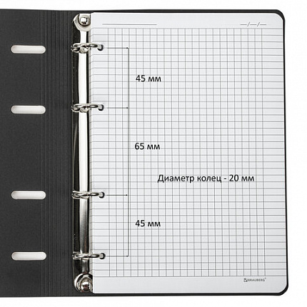 Тетрадь на кольцах А5 (180х220 мм), 80 листов, под кожу, клетка, тиснение фольгой, BRAUBERG VISTA, Butterflies,112128