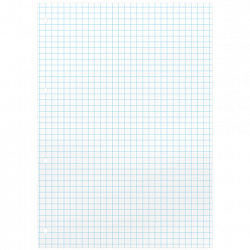 Сменный блок для тетради на кольцах А5, 160 л., BRAUBERG, "Белый", 404613