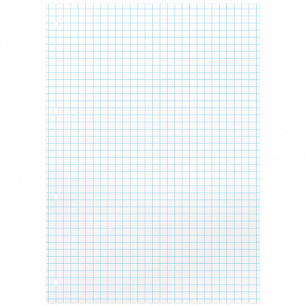 Сменный блок для тетради на кольцах А5, 80 л., BRAUBERG, "Белый", 404612