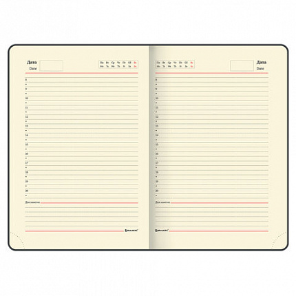 Ежедневник недатированный А5 138х213 мм, BRAUBERG "Iguana", под кожу, 160 л., белый, 114458