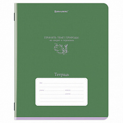 Тетрадь 24 л. BRAUBERG клетка, обложка картон, PHRASES, 107304