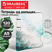 Тетрадь на кольцах А5, 175х215 мм, 120 л., под кожу, BRAUBERG VISTA, "Акварель", 405217