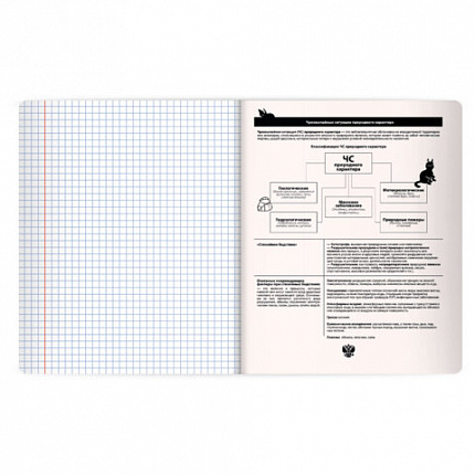 Тетрадь предметная КОТ-НЕПОСЕДА 48л, пластиковая обложка, ОБЗР, клетка, подсказ, BRAUBERG, 405539