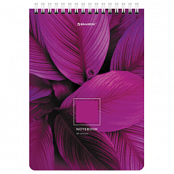 Блокнот А5 (146х206 мм), 80 л., гребень, картон, клетка, BRAUBERG, "Яркие листья", 114372