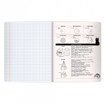 Тетрадь предметная КОТ-НЕПОСЕДА 48л, пластиковая обложка, ГЕОМЕТРИЯ, клетка, подсказ, BRAUBERG, 405532