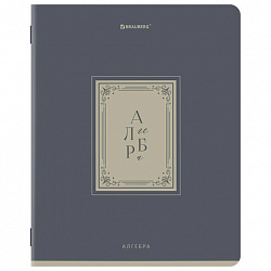 Тетради предметные, КОМПЛЕКТ 12 ПРЕДМЕТОВ, 48 л., рельефный картон, BRAUBERG, "ВИНТАЖ", 405603