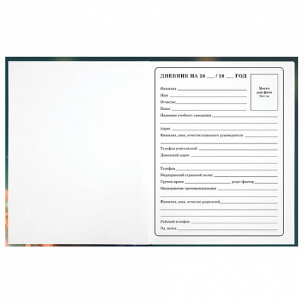 Дневник 1-4 класс 48 л., гибкая обложка, ЮНЛАНДИЯ, выборочный лак, с подсказом, "Медвежонок", 107141