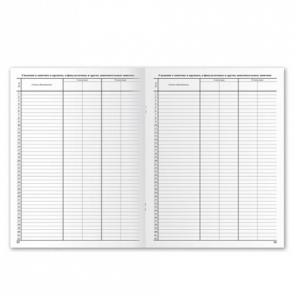 Классный журнал BRAUBERG 5-11 кл. (универсальный), А4 200х290 мм, твердая ламинированная обложка, офсет, 125686