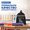 Мешок для обуви BRAUBERG, с петлей, светоотражающая полоса, 2 отделения, 46х36 см, Tyrannosaur, 272399