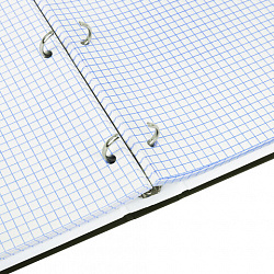 Тетрадь на кольцах БОЛЬШАЯ А4, 220х305 мм, 100 л., твердый картон, клетка, BRAUBERG, "Nature", 405411