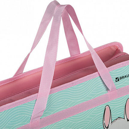 Папка на молнии с ручками BRAUBERG А4, 1 отделение, пластик, 80 мм, "BEST PALS", 271467