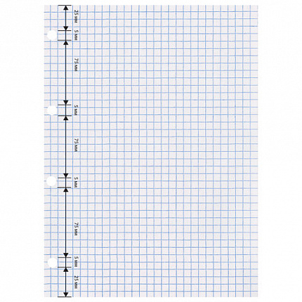 Сменный блок к тетради на кольцах БОЛЬШОГО ФОРМАТА А4, 120 л., BRAUBERG, Белый, 404518