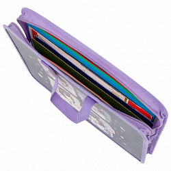 Папка на молнии с ручками ЮНЛАНДИЯ А4, 1 отделение, пластик, ширина 45 мм, "Anime dreamer", 273357