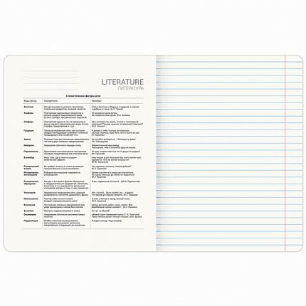 Тетрадь предметная КЛАССИКА ПРИРОДА 48 л., обложка картон, ЛИТЕРАТУРА, линия, подсказ, BRAUBERG, 405090